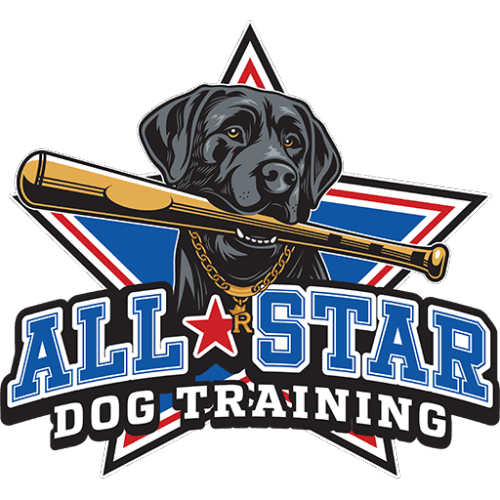 All-Star Dog Training