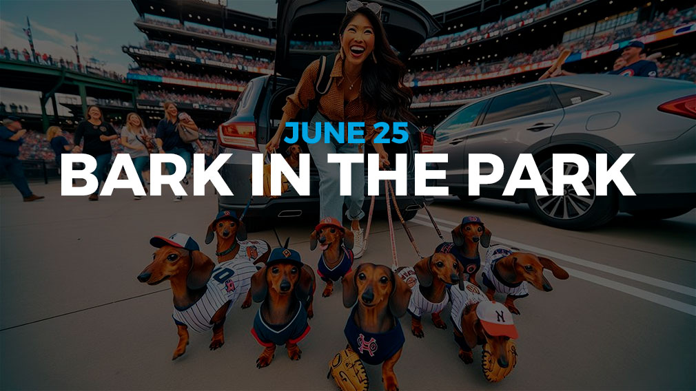 Graphic showing photo of woman with lots of Dachshunds at a baseball game with overlaying white and cyan sans-serif type