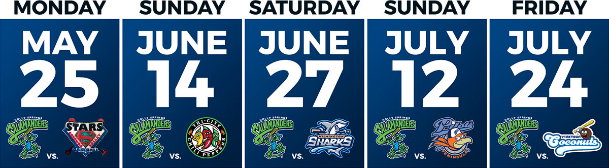 Graphic showing Sal's plan dates and teams playing