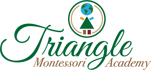 Triangle Montessori Academy Logo - Green and brown script type with person icon above