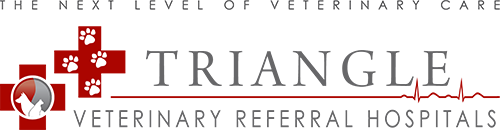 Triangle Veterinary Referral Hospitals Logo - Gray serif and sans-serif type with red medical cross and paw prints to left